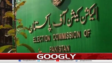 پنجاب میں بلدیاتی انتخابات دسمبریاجنوری میں کرانےکی تجویز 5 Proposal to hold local government elections in Punjab in December or January