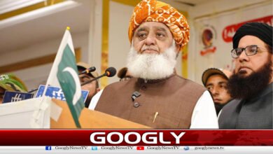 Decision regarding Imran Khan should have been taken long ago, says Fazlur Rehman