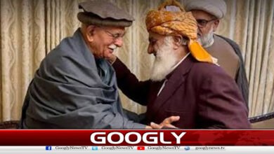 JUI-F, Pakistan's Constitution Protection Movement agree to form united opposition