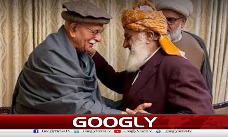 جےیوآئی،تحریک تحفظ آئین پاکستان کا متحدہ اپوزیشن کے قیام پر اتفاق 1 JUI-F, Pakistan's Constitution Protection Movement agree to form united opposition
