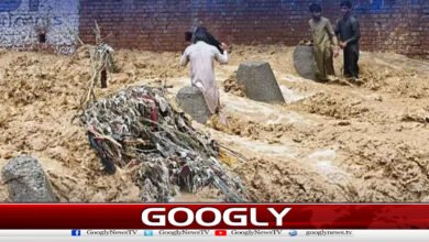فنڈزنہ ملنے سےنیشنل فلڈ پروٹیکشن پلان تاخیر کا شکار 2 National Flood Protection Plan delayed due to lack of funds