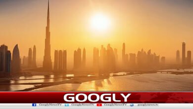 مشرق وسطیٰ میں شدید گرمی کی نئی لہر کی پیشگوئی 2 New heat wave predicted for the Middle East