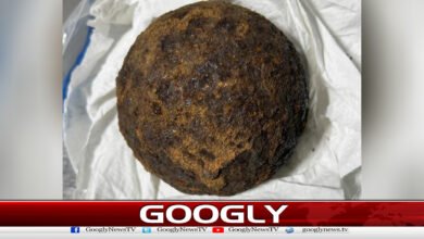 پوتےنےبیگ میں توپ کے گولے رکھ کردادی کومشکل میں ڈال دیا 2 The grandson put the cannonballs in the bag and got his grandmother into trouble.
