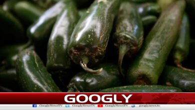 Green peppers imported from Mexico declared dangerous in the US
