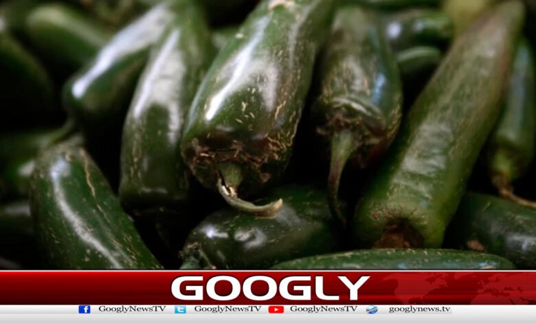 Green peppers imported from Mexico declared dangerous in the US