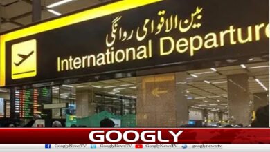 بہترمستقبل کی تلاش،رواں سال3لاکھ سے زائدپاکستانی بیرون ملک چلےگئے 5 More than 300,000 Pakistanis emigrated abroad this year in search of a better future