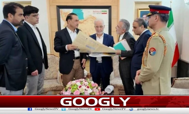 Iran calls Field Marshal's visit productive, constructive