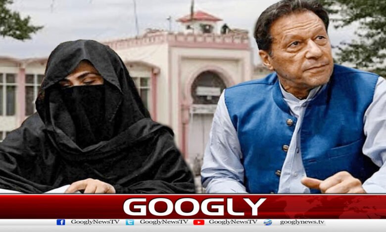 Imran Khan, Bushra Bibi's solitary confinement; Lawyer's written arguments submitted to court
