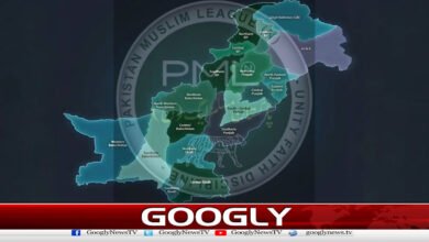 Demand for the establishment of new provinces, what is the PML-N going to do?