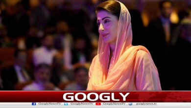 One political party's mood is riot and the other is corruption, says Maryam Nawaz
