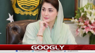 We will deliver clean drinking water to the people from door to door, Maryam Nawaz says