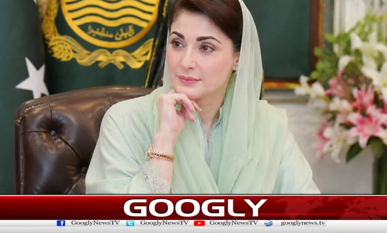 عوام کو پینے کا صاف پانی گھر گھر پہنچا کر دم لیں گے،مریم نواز 1 We will deliver clean drinking water to the people from door to door, Maryam Nawaz says