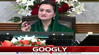 Maryam Aurangzeb expresses gratitude to voters for victory in Muzaffarabad division