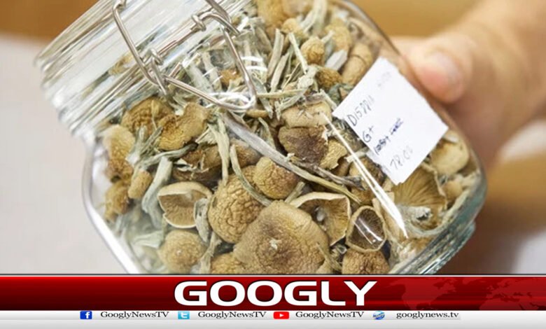 A dose of magic mushrooms declared the first treatment for depression