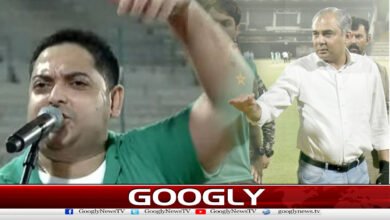 Independence Day celebration at Multan Stadium, fans cheer