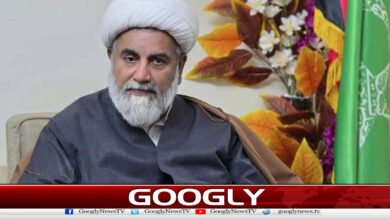 علامہ ناصرعباس کاپی ٹی آئی کی قائمہ کمیٹیوں میں واپسی کا عندیہ 5 Allama Nasir Abbas hints at return of KAPITI to standing committees