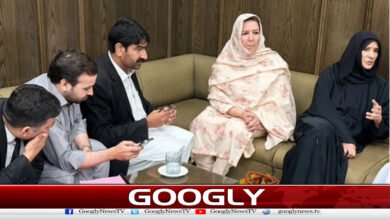 Peshawar High Court: Noreen Niazi granted transit bail till August 20