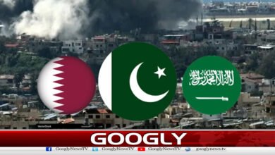 پاکستان سمیت 12 اسلامی ممالک شام پراسرائیلی جارحیت کیخلاف ڈٹ گئے