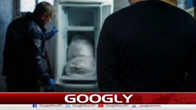 Greek man hides father's body in freezer to get pension