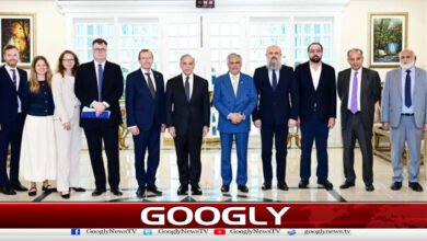 Pakistan, Norway agree to increase cooperation in various sectors including trade