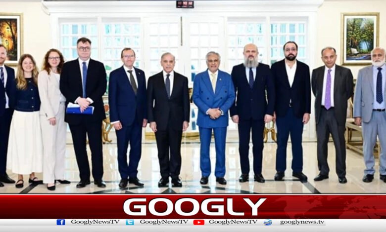 Pakistan, Norway agree to increase cooperation in various sectors including trade