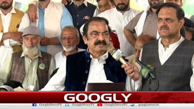 راناثنااللہ کاپی ٹی آئی کومشاورت کیلئےجمہوری رویہ اپنانےکامشورہ 2 Rana Thanaullah advises KAPITI to adopt democratic approach for consultation