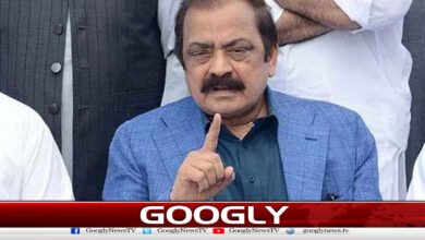 PPP is hiding its defeat with a narrative of rigging, says Rana Thanaullah