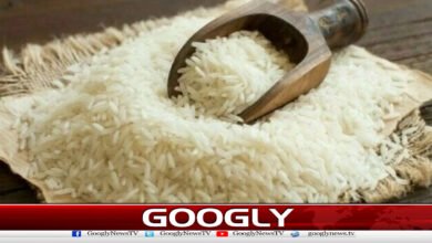 پاکستان نے آسٹریلیا میں باسمتی چاول کی قانونی جنگ جیت لی 2 Pakistan wins legal battle over basmati rice in Australia