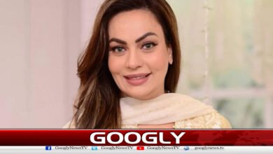 Sadia Imam accused of cheating on co-stars