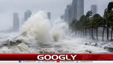 Thousands of flights canceled as Typhoon Dolphin wreaks havoc in China