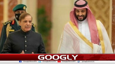 Saudi Crown Prince stands like an iron wall with Pakistan, says PM