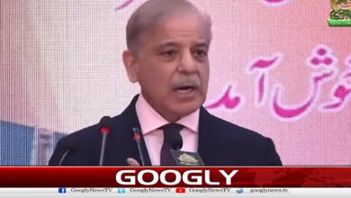 پاکستان کی ترقی میں اقلیتی برادری کا اہم کردارہے،شہبازشریف 5 Minority community plays important role in Pakistan's development: Shahbaz Sharif