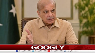 شہباز شریف کی اسلام آباد ٹیکنالوجی پارک کوفوری فعال کرنے کی ہدایت 5 Shahbaz Sharif directs immediate activation of Islamabad Technology Park