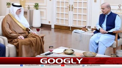 Farewell meeting of Saudi Ambassador Nawaf bin Saeed al-Maliki with the Prime Minister
