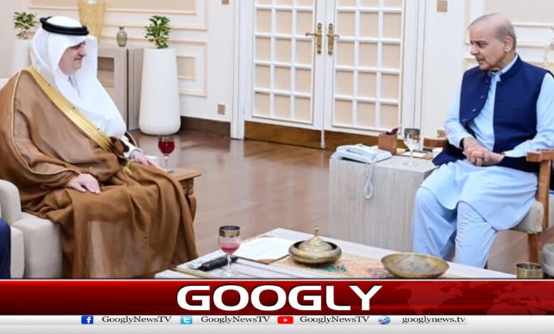 Farewell meeting of Saudi Ambassador Nawaf bin Saeed al-Maliki with the Prime Minister