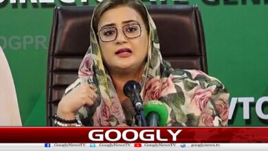 Those who cry about rigging will continue to scream, Uzma Bukhari