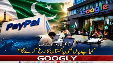 گوگل اور موبز کے بعد پے پال کی پاکستان آمد کا راستہ کب کھلے گا؟ 2 website Googly 7