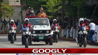 website Googly Recovered 124