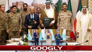website Googly Recovered 126
