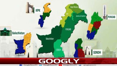 پاکستان میں نئے صوبوں کے قیام کا فارمولا کیا ہو سکتا ہے؟ 5 website Googly Recovered 13