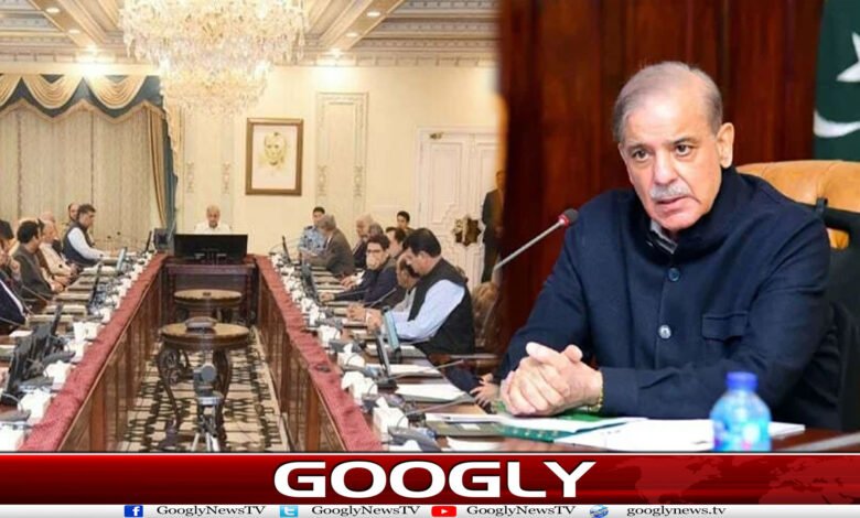 حکومتی کارکردگی پر سوالات، شہباز شریف نے ڈنڈا اٹھا لیا 1 website Googly Recovered 17