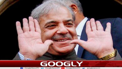 شہباز حکومت کے خاتمے کے پیشگوئیاں ہمیشہ غلط کیوں نکلتی ہیں؟ 5 website Googly Recovered 33