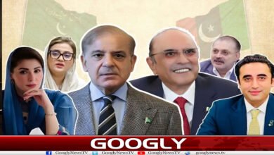 website Googly Recovered 84