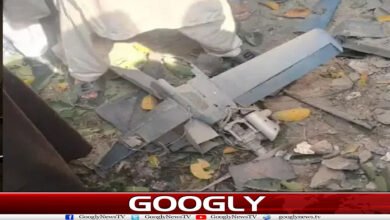 website Googly Recovered 85