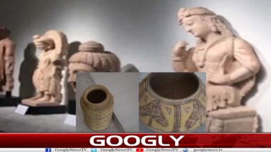 website Googly Recovered 87
