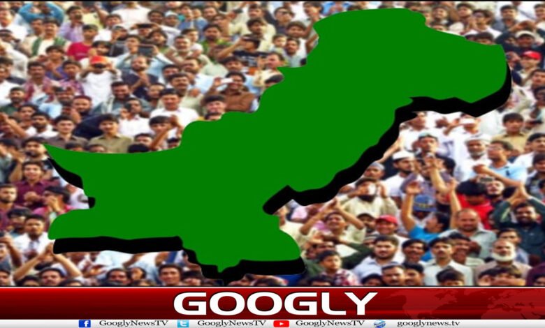 website Googly Recovered 9