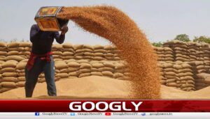وفاق نے10 لاکھ ٹن گندم درآمد کرنےکی منظوری دیدی