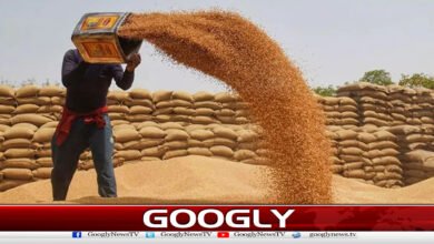 The federation has given the responsibility to import 1 million tons of wheat.