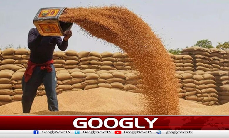 وفاق نے10 لاکھ ٹن گندم درآمد کرنےکی منظوری دیدی 1 The federation has given the responsibility to import 1 million tons of wheat.
