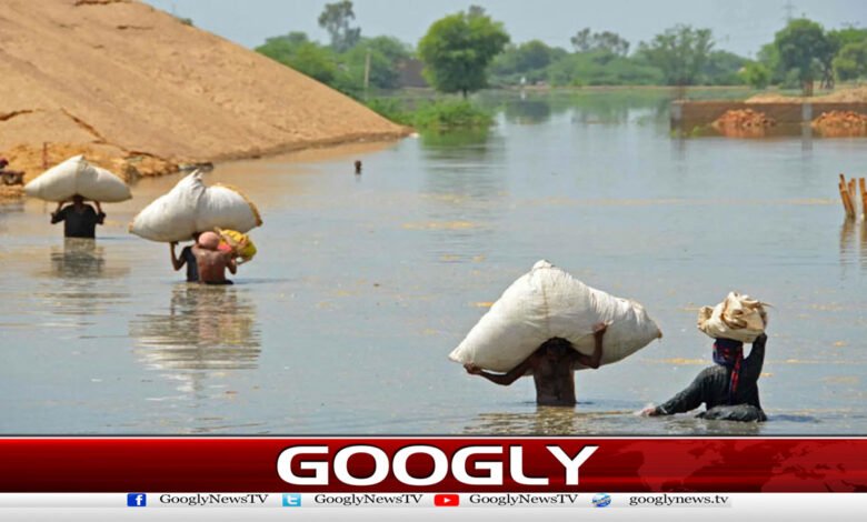 World Bank angered over Balochistan's transfer of flood funds to other provinces